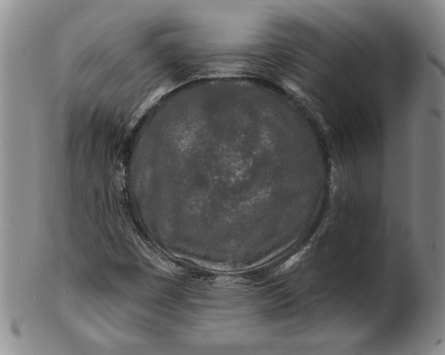 X0000100971449200807081207