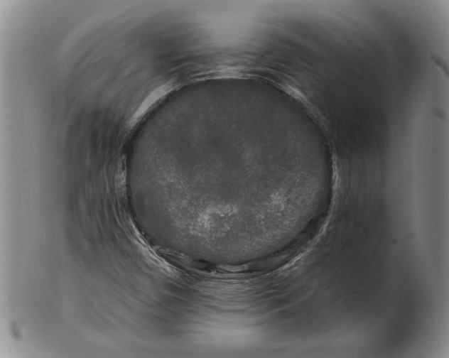 X0000100971450200807081207