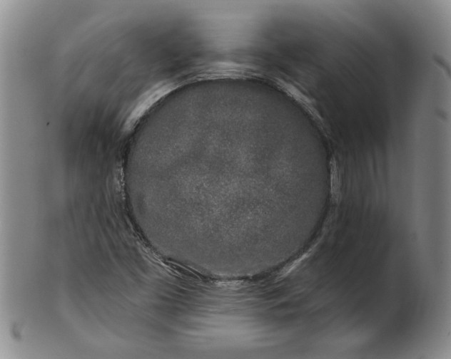 X0000100971453200807081207