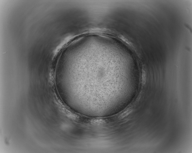 X0000100971454200807081207