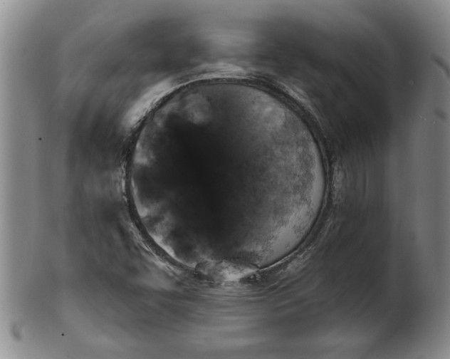 X0000100971455200807081207