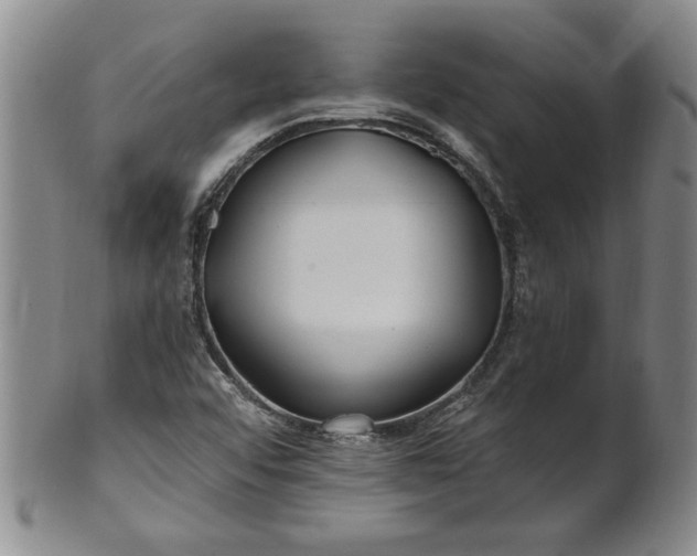 X0000100971456200807081207