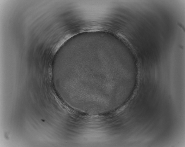 X0000100971457200807081207