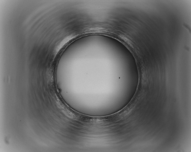X0000100971458200807081207