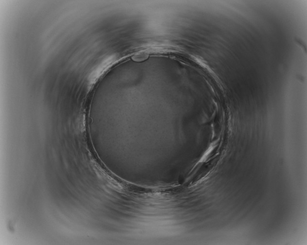 X0000100971459200807081207