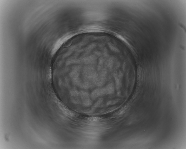 X0000100971461200807081207