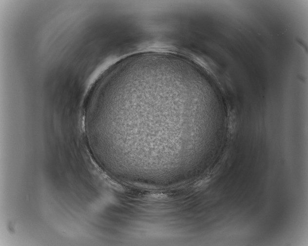 X0000100971462200807081207