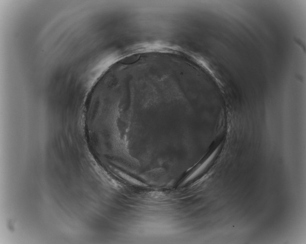 X0000100971463200807081207