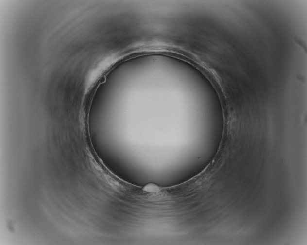 X0000100971464200807081207