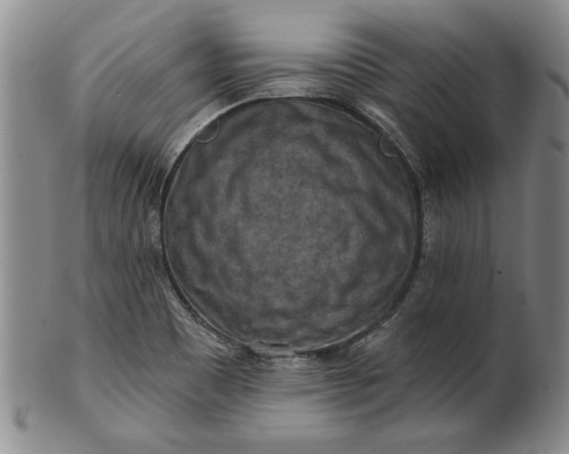 X0000100971465200807081207