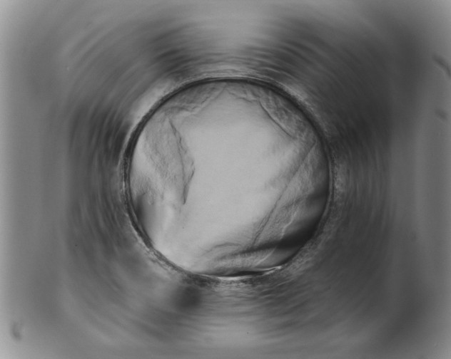 X0000100971466200807081207