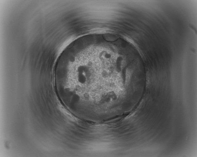 X0000100971467200807081207