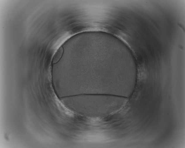 X0000100971468200807081207