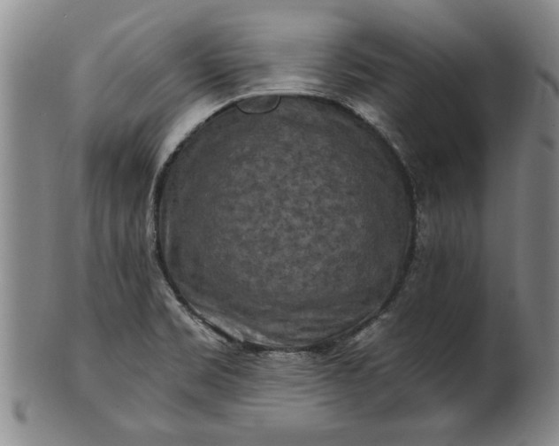 X0000100971469200807081207