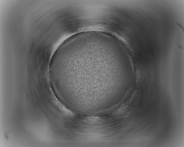 X0000100971470200807081207