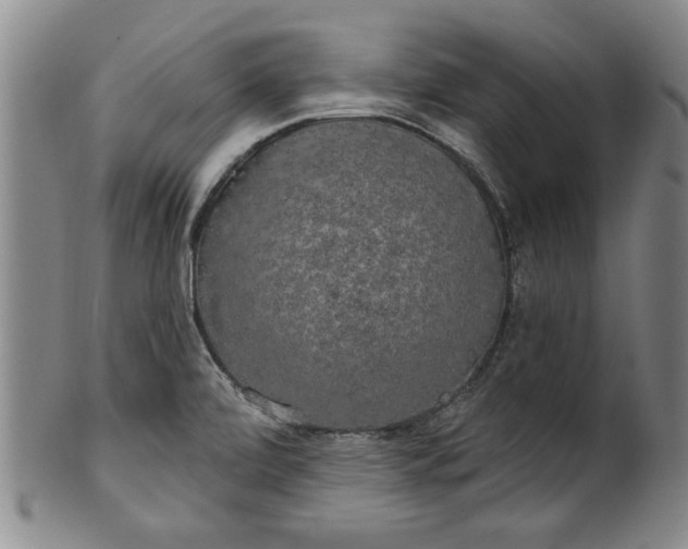 X0000100971472200807081207