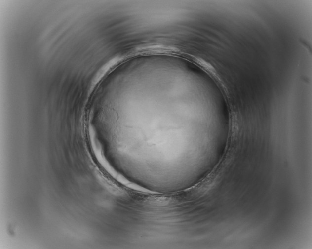 X0000100971474200807081207