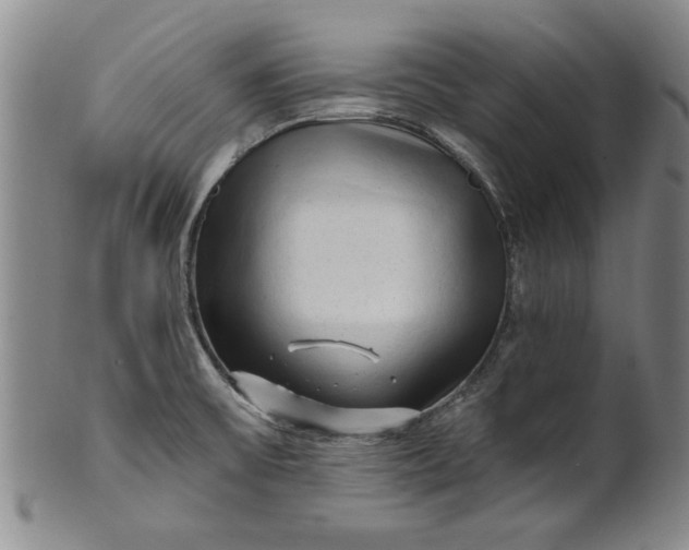X0000100971475200807081207
