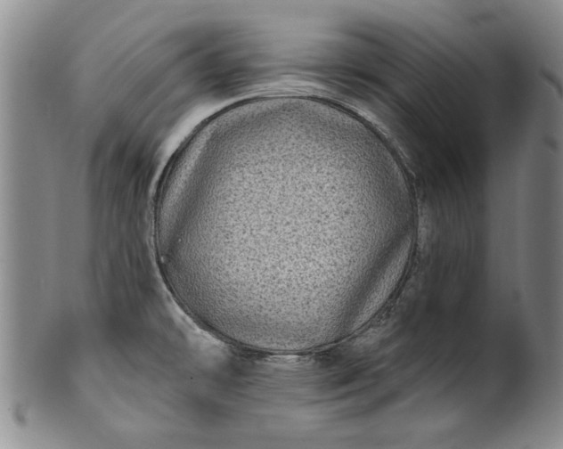 X0000100971478200807081207