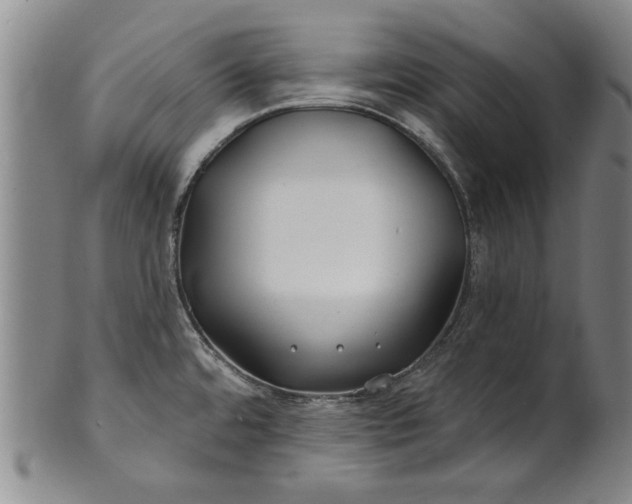 X0000100971480200807081207