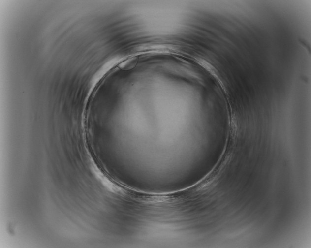 X0000100971482200807081207