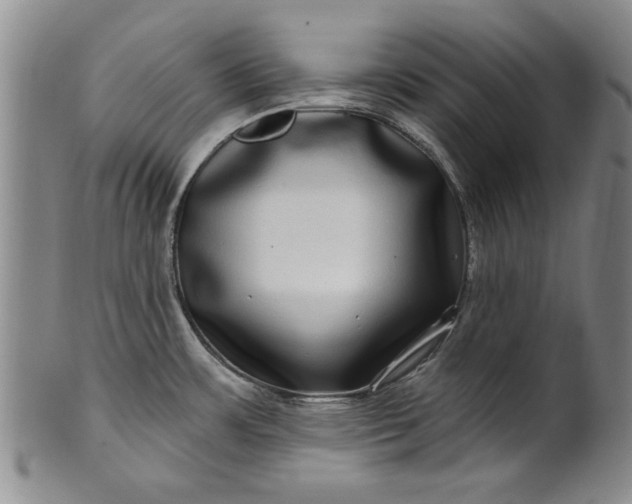X0000100971483200807081207