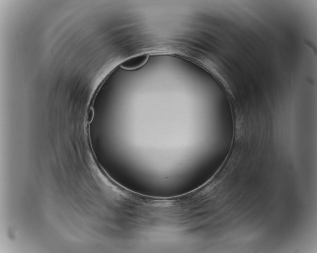 X0000100971484200807081207