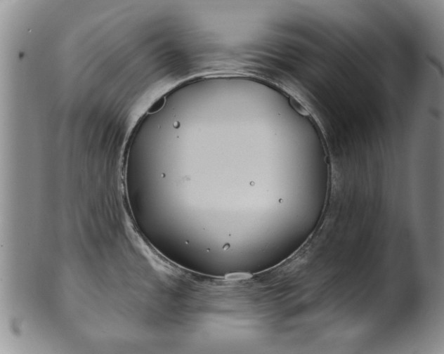 X0000100971485200807081207