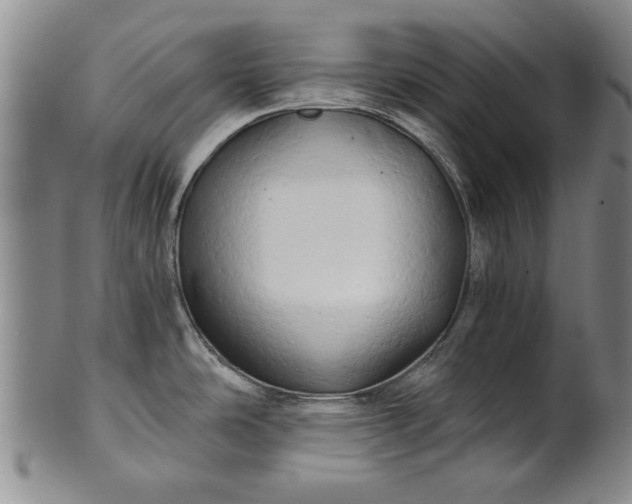 X0000100971486200807081207