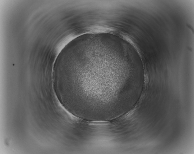 X0000100971487200807081207