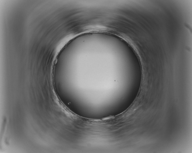 X0000100971488200807081207