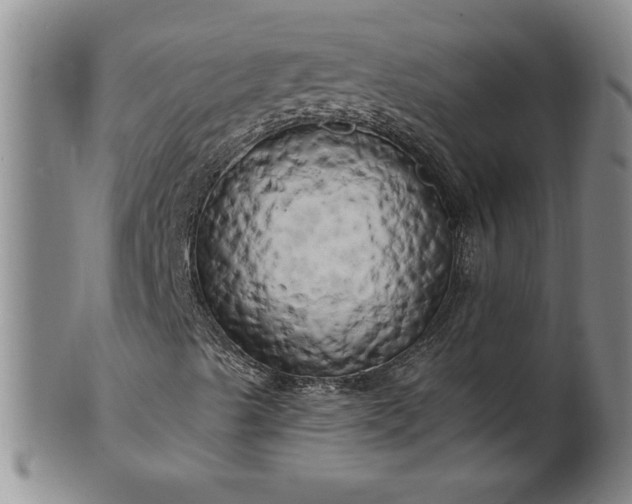 X0000100971489200807081206