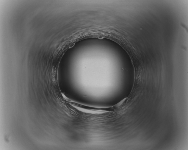 X0000100971490200807081206