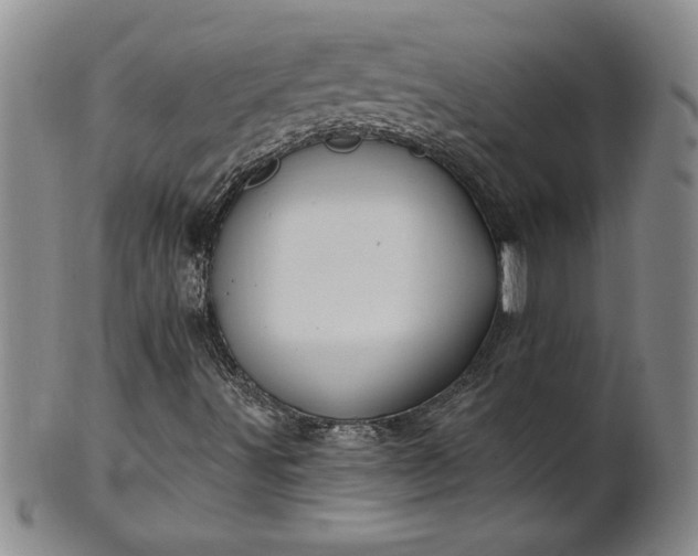 X0000100971491200807081206