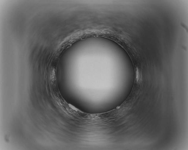 X0000100971492200807081206