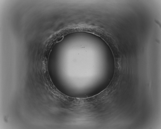 X0000100971493200807081206