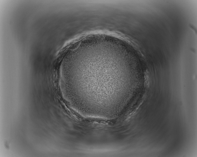 X0000100971494200807081206