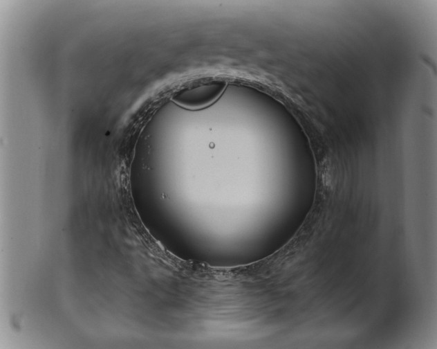 X0000100971495200807081206