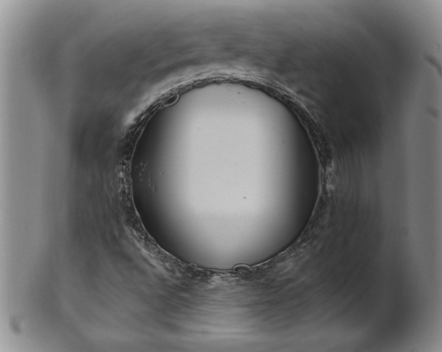 X0000100971496200807081206