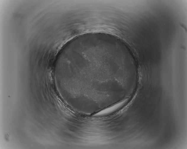 X0000100971497200807081206