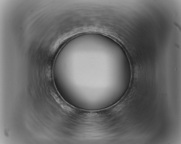 X0000100971499200807081206