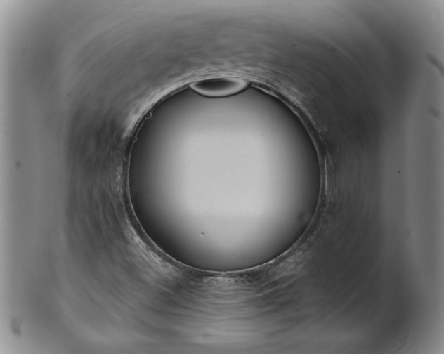 X0000100971500200807081206