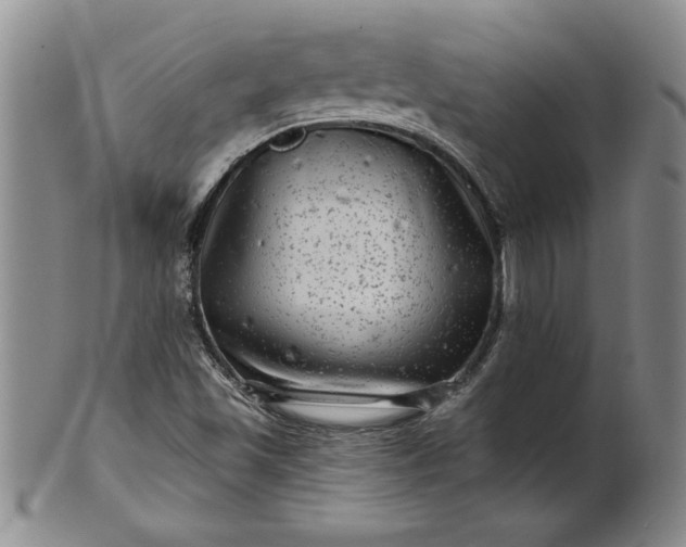 X0000100971501200807081206