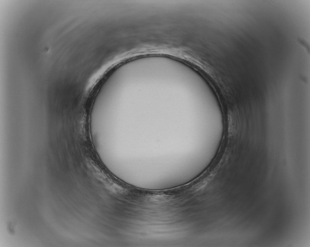 X0000100971502200807081206