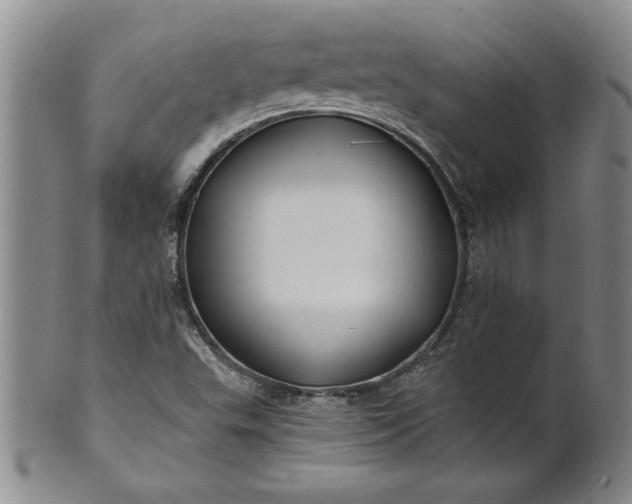 X0000100971503200807081206
