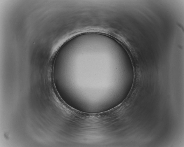X0000100971504200807081206