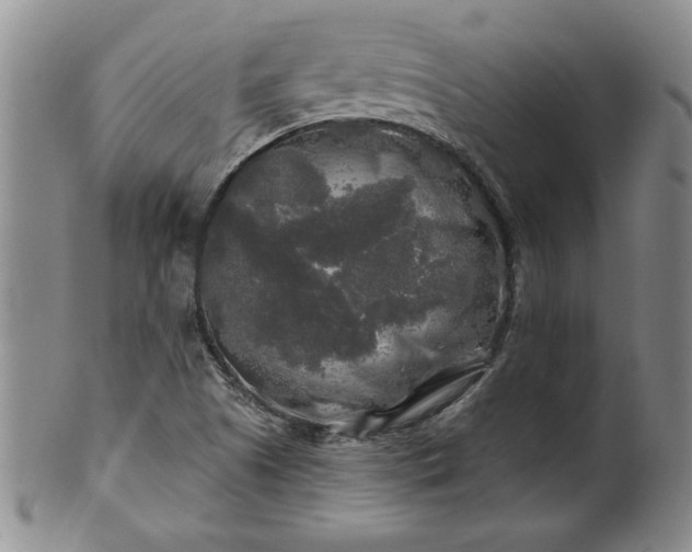 X0000100971505200807081206