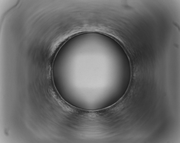 X0000100971507200807081206