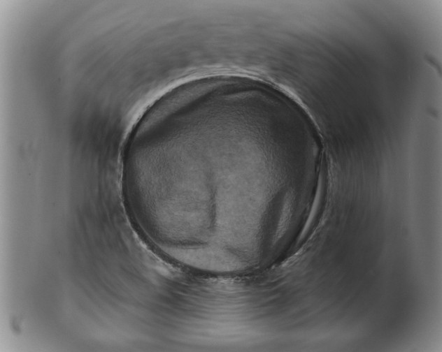 X0000100971508200807081206