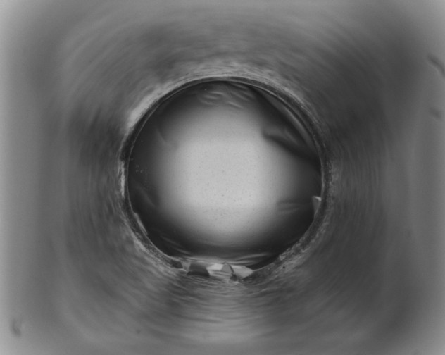 X0000100971509200807081206